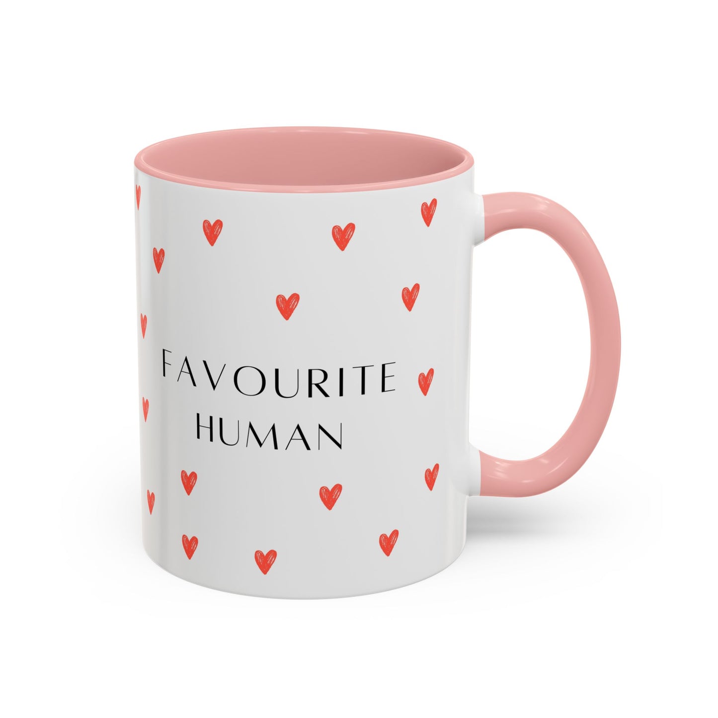 Favourite Human Ceramic Mug || 350ML
